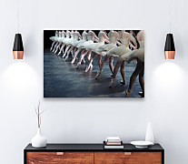 Obraz Baletná škola zs1253